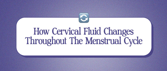 How Cervical Fluid Changes Throughout The Menstrual Cycle
