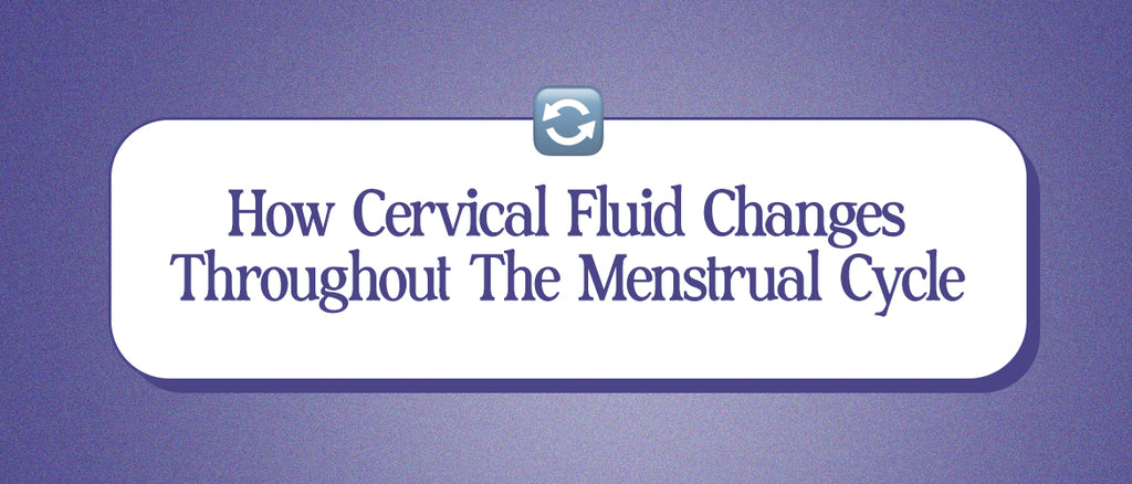 How Cervical Fluid Changes Throughout The Menstrual Cycle – Slipp.